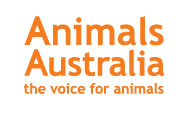 Support Animals Australia