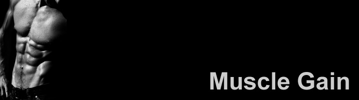 betipt - Mucle Gain