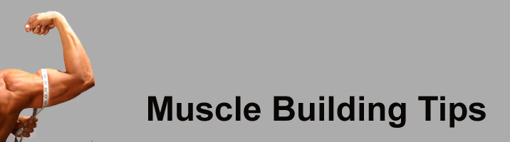 betiPT - Muscle Building Tips
