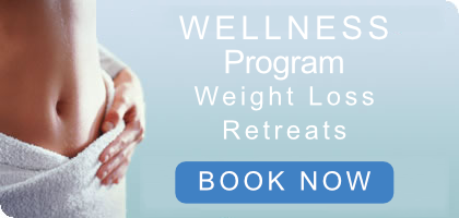 Wellness Program